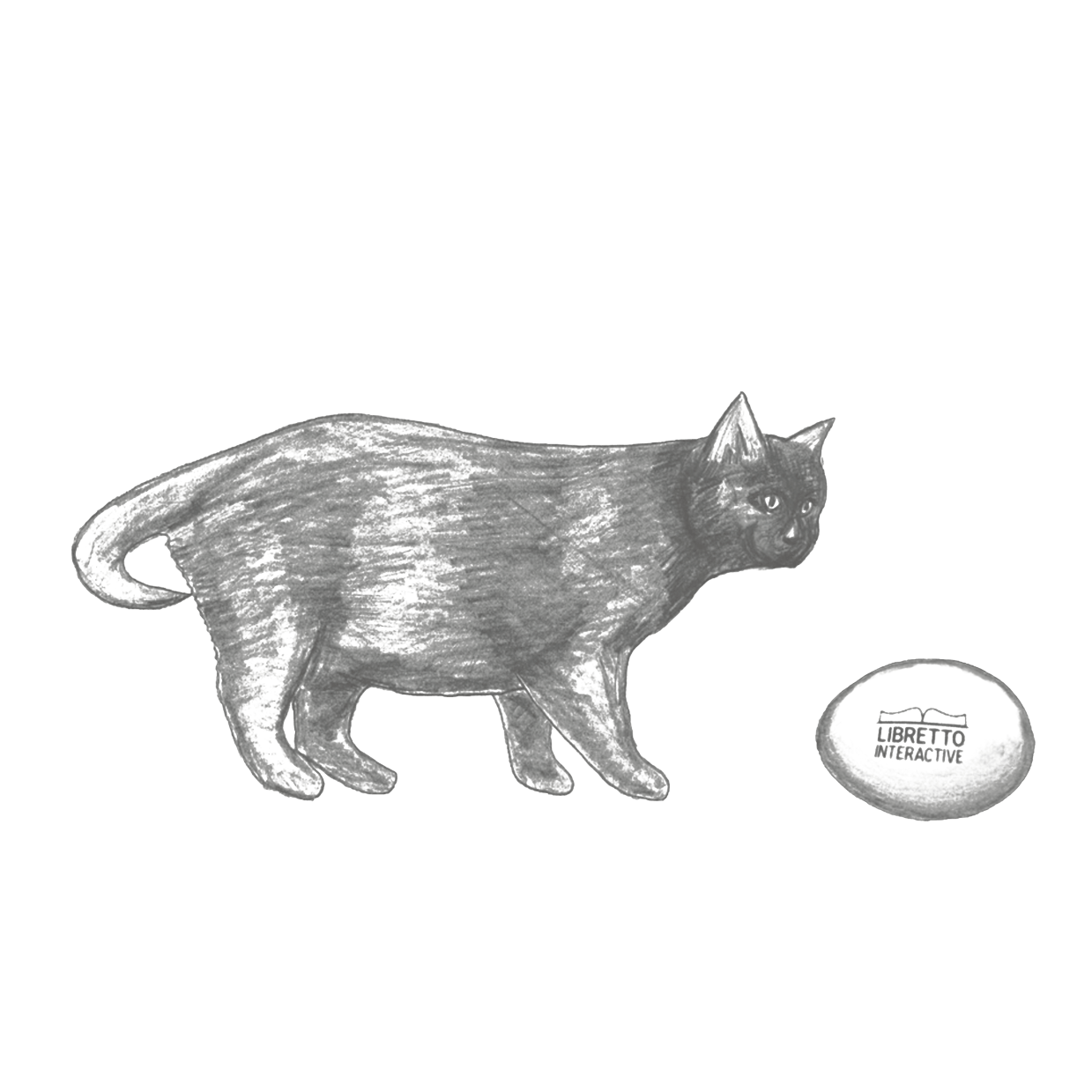 libr_amp_transparent